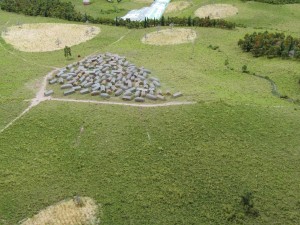 historical site model