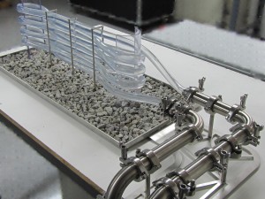 Bioreactor Model